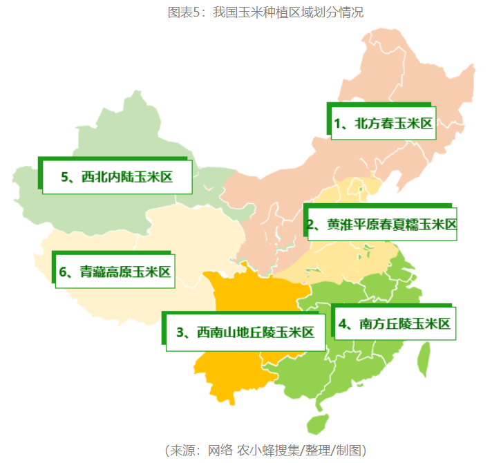 2022年中国玉米产业分析报告雷竞技raybet官方下载(图5)