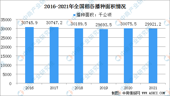 雷竞技raybet官方下载2022年中国水稻种植区域分析（图）(图1)